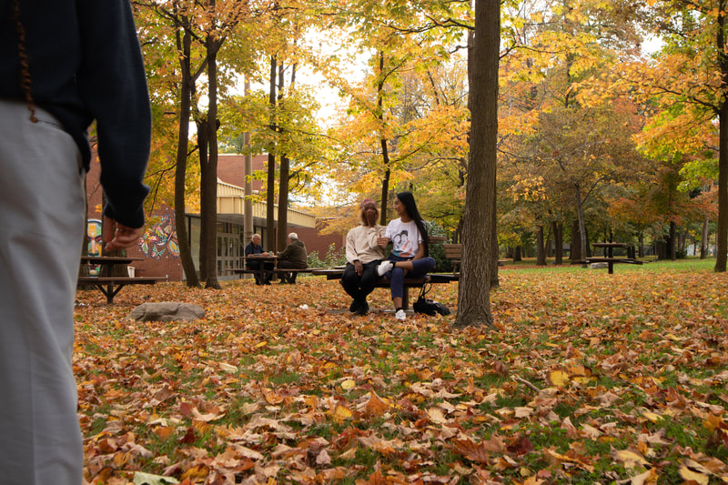 In a park, yellow leaves on the ground our two main subjects sit on a park bench 